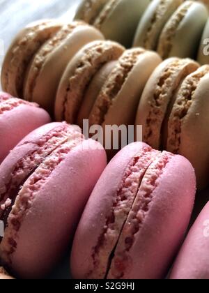 Rows of pastel macarons Stock Photo