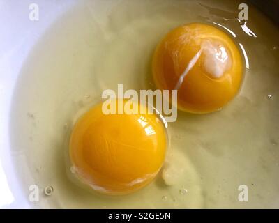 Two egg yolks in a bowl Stock Photo