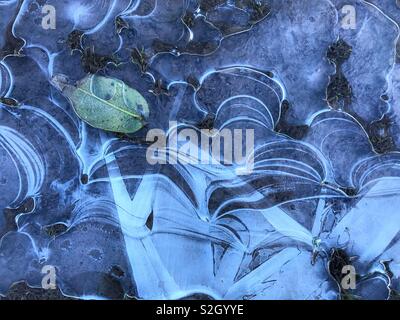 Ice patterns on a frozen puddle. Stock Photo