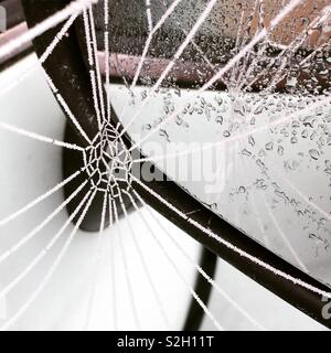 Frozen web on wing mirror