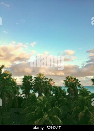 View from the balcony looking at tops of palm trees, sunset and Caribbean Sea in varadero Cuba. January 2019 Stock Photo