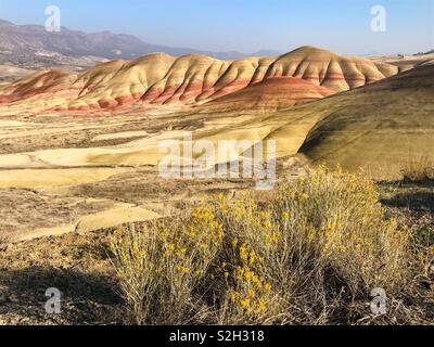 Late afternoon, autumn sunshine over the Painted Hills. The Painted Hills in the John Day Fossil Beds National Monument are one of Oregon’s Seven Natural Wonders. Stock Photo