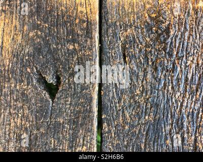 Heart shaped knot on an old wooden board Stock Photo