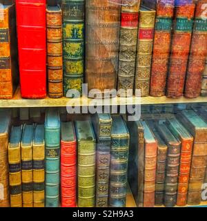Old books in shop window England UK Stock Photo