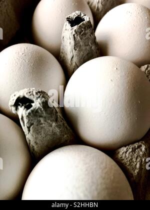 Close up of eggs in a carton Stock Photo