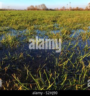 Flood plain in winter after River Lugg floods near Hereford Herefordshire UK February 2019 Stock Photo