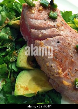 Close up of a gourmet entrée of seared fresh tuna on a bed of avocado and cilantro. Stock Photo