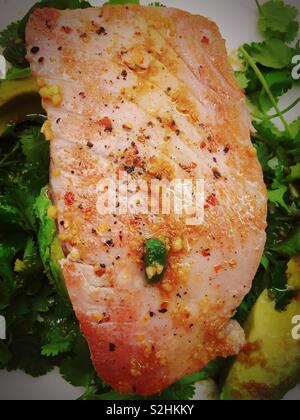 Close up of a gourmet entrée of seared fresh tuna on a bed of avocado and cilantro. Stock Photo