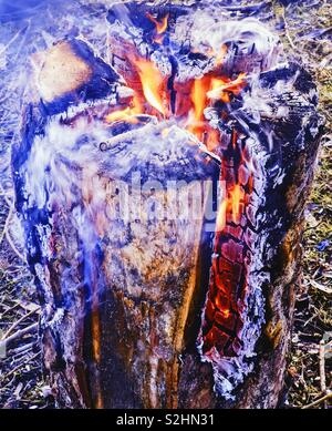 Swedish fire log burning, Sweden,Scandinavia. The logs are vertically cut  and set on fire. The fire is self feeding and the log burns from inside  out. The fire can last for up to 5 hours Stock Photo - Alamy