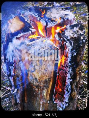 Swedish fire log burning, Sweden, Scandinavia. The logs are vertically cut  and set on fire. The fire is self feeding and the log burns from inside  out. The fire can last for up to 5 hours Stock Photo - Alamy
