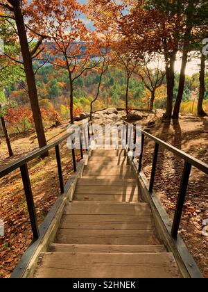 Looking down stairs towards distant lake with trees dressed in fall colours. Stock Photo