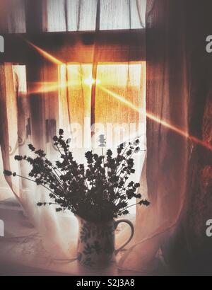 Early morning sunlight bursting in through a window Stock Photo