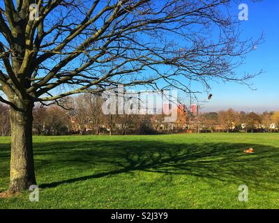 Mountsfield Park in Lewisham London, England on February 26 2019 Stock Photo