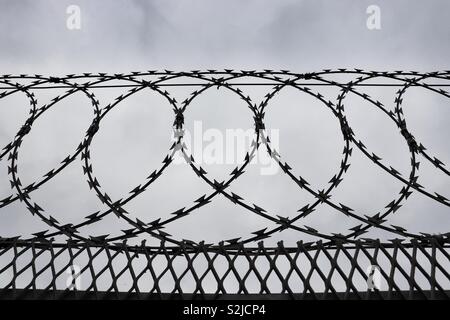 Security fence with loops of razor wire Stock Photo