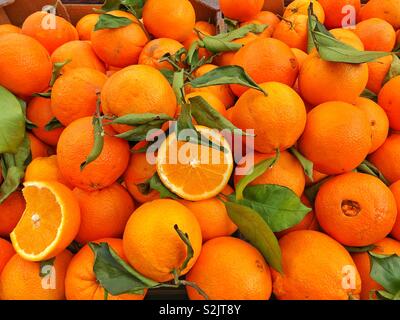 Fresh oranges for sale in a french market Stock Photo