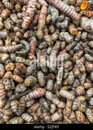 Fresh turmeric root on display and for sale at the local produce vendor. Stock Photo