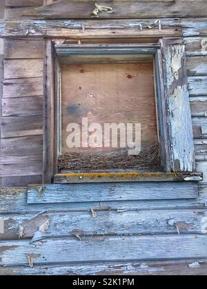 Old nests in an old window of an old barn Stock Photo