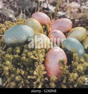 Close up of foil wrapped chocolate Easter eggs in moss outdoors on a forest floor. Stock Photo