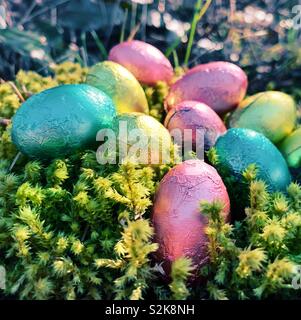 Foil covered Easter eggs placed in green moss on forest floor. Close up, square crop. Stock Photo