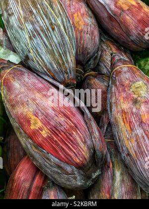 Fresh delicious banana blossom, banana heart, vazhai poo edible banana flower fruit. Stock Photo