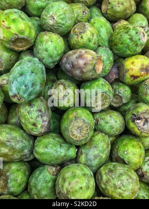 Full frame of fresh delicious ripe green Opuntia ficus-indica (prickly pear) cactus fruit on display and for sale at the local produce vendor.
