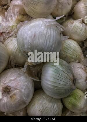 Full frame of fresh delicious ripe white onion, Allium cepa, sweet onion on display and for sale at the local produce market. Stock Photo