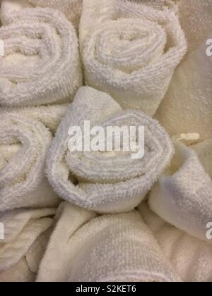 Fresh rolled white hand towels standing on their ends. Stock Photo