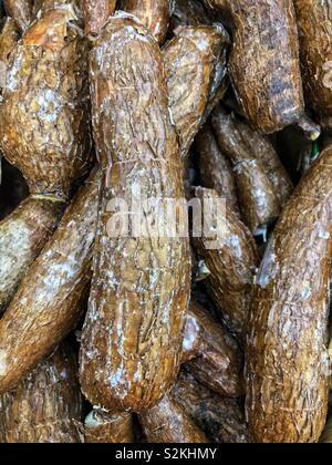 Full frame of fresh delicious ripe tropical yuca, manihot esculenta, cassava, manioc, macaxeira, mandioca, aipim, Brazilian arrowroot on display and for sale. Stock Photo