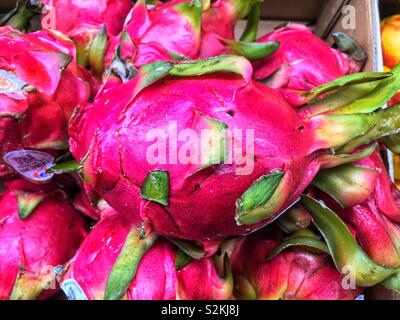 Full frame of fresh delicious ripe perfect dragon fruit, thang, Hylocereus, pitahaya, pitaya, pitaya roja, strawberry pear on display and for sale at the local produce market. Stock Photo