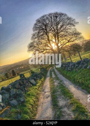 Lovely sunset on Ilkley Moor from a country lane in Guiseley West Yorkshire UK Weather Stock Photo