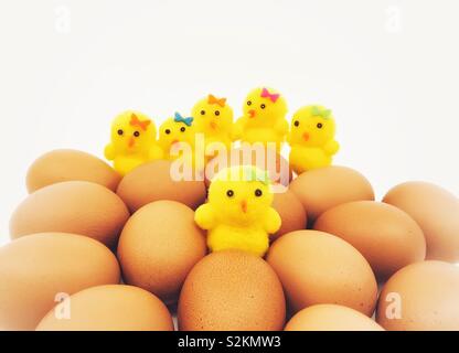 Cute Easter chicks made of foam with a clutch of fresh eggs Stock Photo