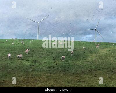 Flock of sheep in front of wind turbines Stock Photo