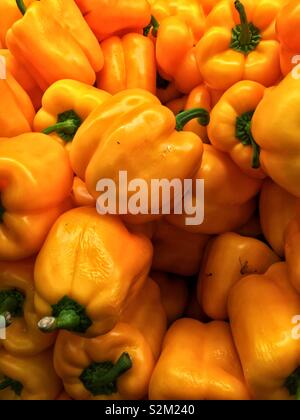 Full frame of fresh delicious ripe yellow peppers stacked displayed and for sale at the local produce market. Stock Photo
