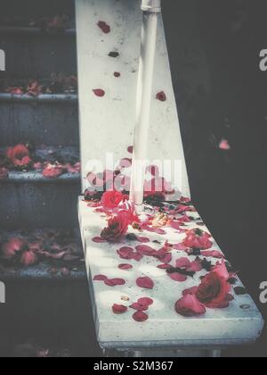 The dying beauty of Camellia japonica L. And the leaves on the home stair Stock Photo