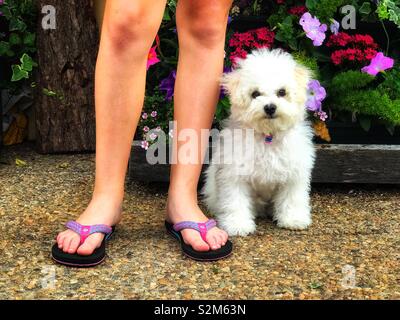 White furry online shoes