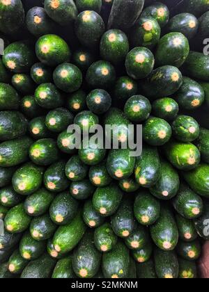 Full frame of farm fresh green zucchini on display and for sale at the local produce market. Stock Photo