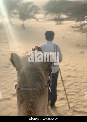 The Camel and gis guide walking through the desert in India Stock Photo