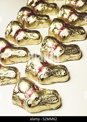 Golden Chocolate Easter Bunnies Stock Photo