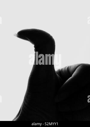 A Hypermobile left thumb. Stock Photo