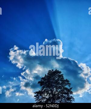 Crepuscular beams/light emanating from behind an interestingly shaped cloud. An awe inspiring image with multiple potential uses. No people. Space for copy. Photo Credit - © COLIN HOSKINS. Stock Photo