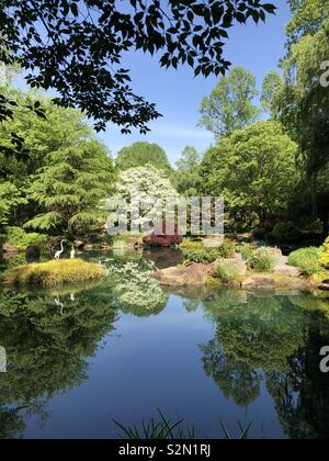 Reflection pond in Japanese Garden at Gibbs Gardens in Ballground, GA. Spring splendor! Stock Photo