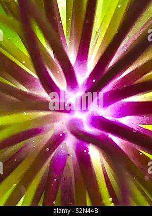 Abstract illustration of the biological cell Stock Photo - Alamy