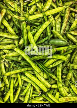 Gavar, guwar, guvar bean, Cyamopsis tetragonoloba, guar or cluster bean Stock Photo