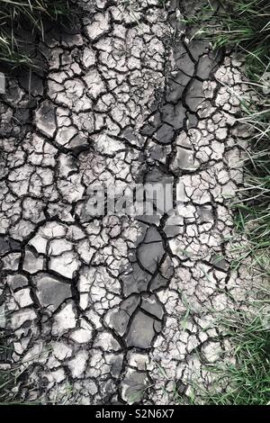 Dry cracked soil, markings in a dry puddle Stock Photo
