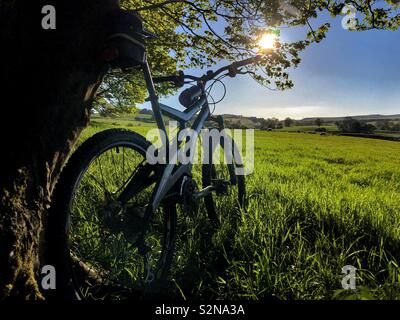 A mountain bike by a field on a summers evening Stock Photo