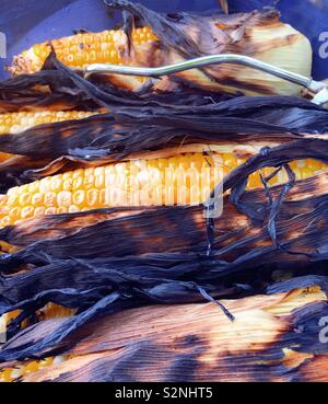 Fresh sweet corn in the husk on an outdoor grill, USA Stock Photo