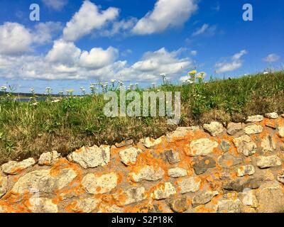 Landscape with stone wall in Canada during summer Stock Photo