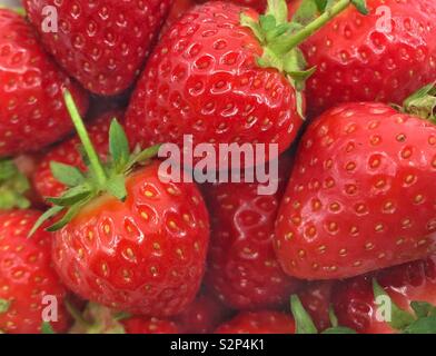 Close up view of fresh ripe juicy strawberries Stock Photo