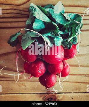Bunch of garden fresh radishes with leaves on a wooden table Stock Photo