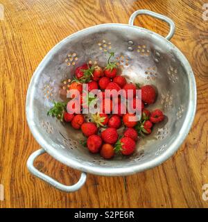 Homegrown strawberries in a old metal colander. Stock Photo